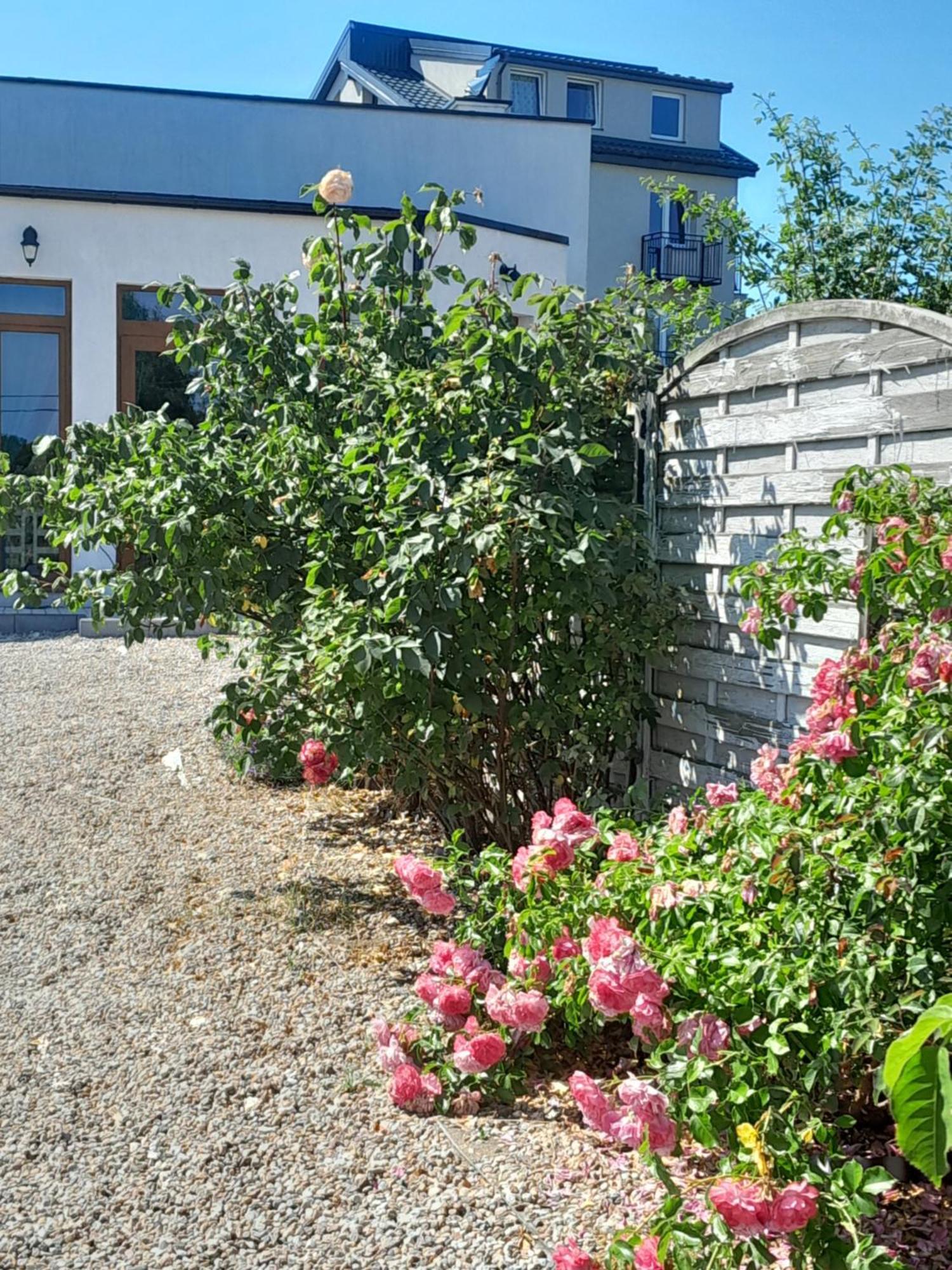 Willa Sunrise Wladyslawowo Exterior foto